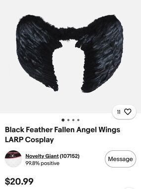 Black Feather Fallen Angel Wings - Kids Costume